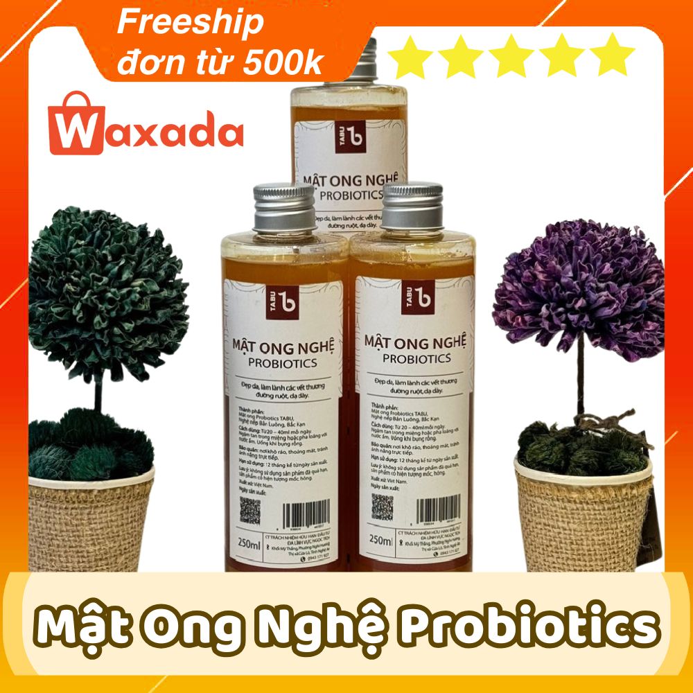 mật ong nghệ probiotics