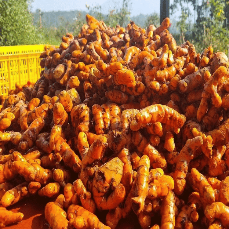 cot-nghe-mat-ong-len-men (4)