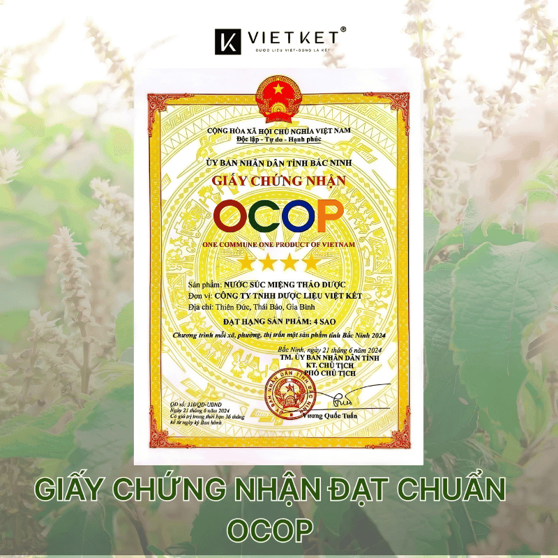 VIETKET-nuoc-suc-mieng-thao-duoc (7)