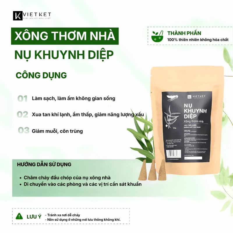 Vietket-nhang-nu-xong-nha-khuyng-diep (2)