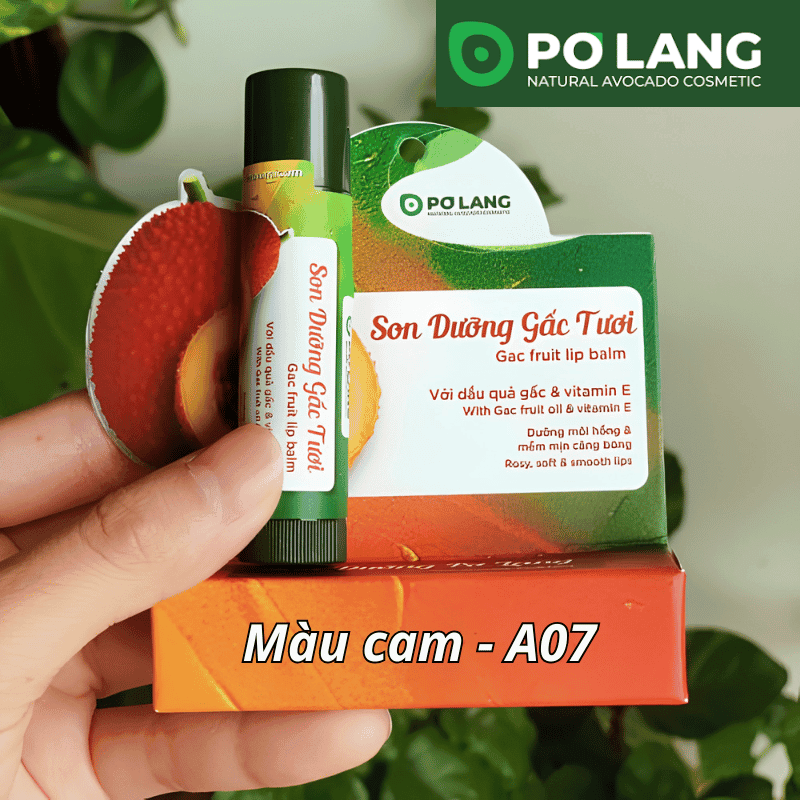 son-duong-gac (7)