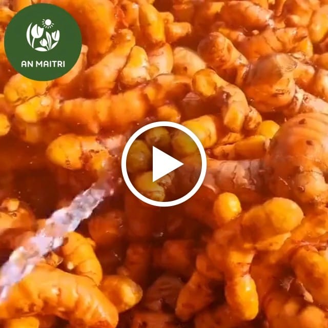 video-poster-1890-2-1788073326 Cốt Nghệ Mật Ong Lên Men An Maitri 500ml — video