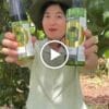 Sữa Rửa Mặt Pơ Lang 150ml — video