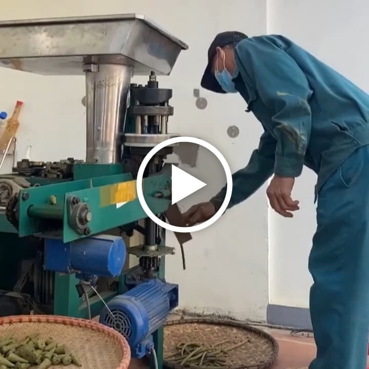 video-poster-8463-1-1788087742 Nhang Nụ Thảo Dược Khuynh Diệp VIETKET — video