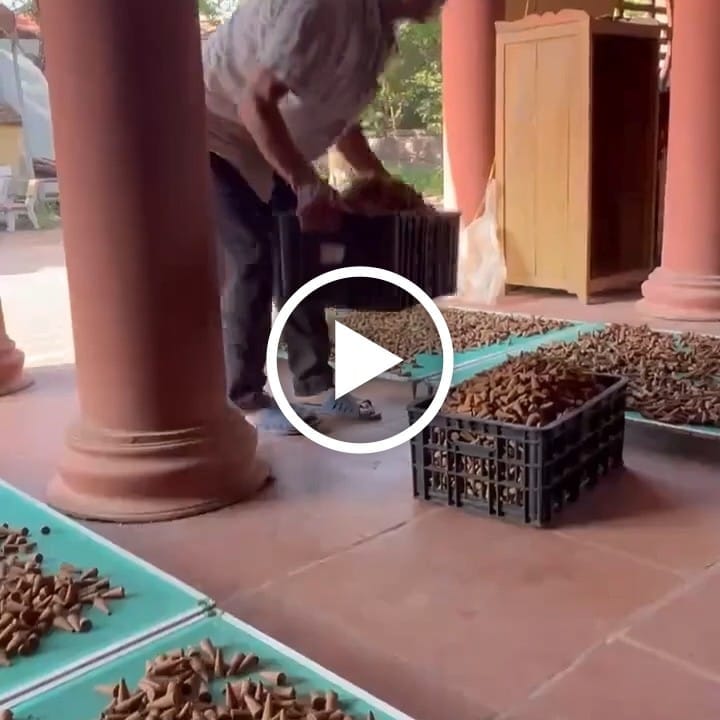 video-poster-8467-2-1788087661 Nhang Nụ Thảo Dược Bồ Kết VIETKET — video