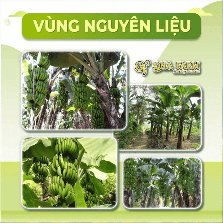 bot-chuoi-xanh (12)