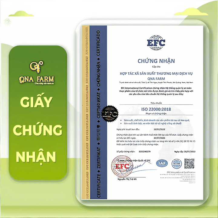 mut-gung-vien-xu-tien (6)