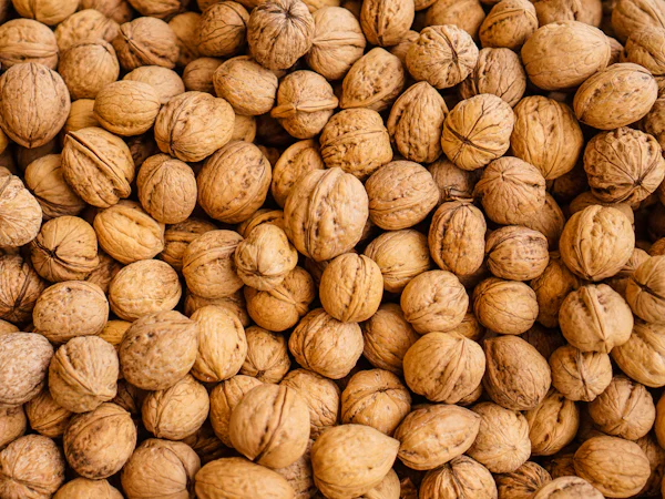 Quả óc chó, nguồn omega-3 thực vật dạng ALA